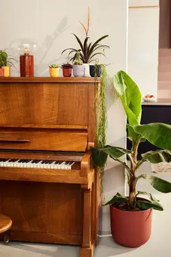 Pot jazz mini d11cm toscaans rood sfeer, Elho, tuincentrumoutlet.com