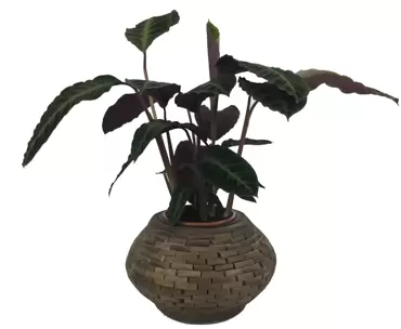 Pot leuca rond Ø39 H24 cm - donker bruin - afbeelding 3