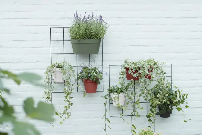 Pot loft urb wall duo 28cm pistgrn sfeerfoto, Elho, tuincentrumoutlet