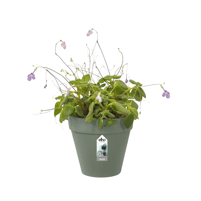 Pot loft urb wall singl 15cm pstgrn sfeer, Elho, tuincentrumoutlet