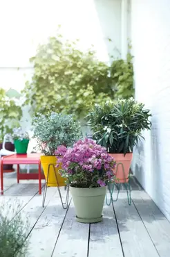 loft urban rond 25 pistache groen sfeer combinatie, Elho, tuincentrumoutlet