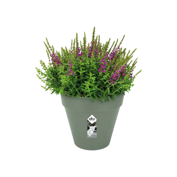 loft urban rond 25 pistache groen potplant, Elho, tuincentrumoutlet