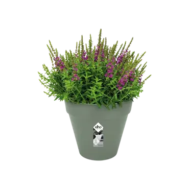 loft urban rond 25 pistache groen potplant, Elho, tuincentrumoutlet