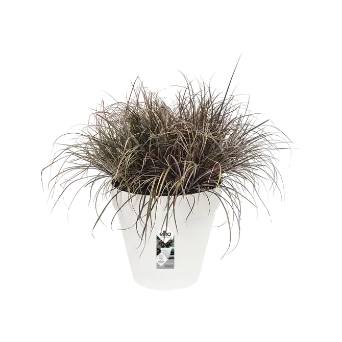 loft urban rond 30 wit potplant, Elho, tuincentrumoutlet