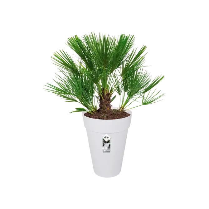 loft urban rond hoog 35cm wit potplant, Elho, tuincentrumoutlet