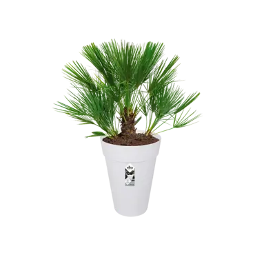 loft urban rond hoog 35cm wit potplant, Elho, tuincentrumoutlet