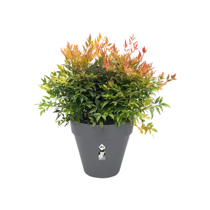 loft urban rond 25 antraciet potplant, Elho, tuincentrumoutlet