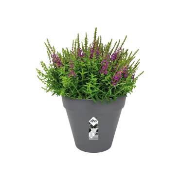 Pot loft urban rond d70cm antra sfeerfoto, Elho, tuincentrumoutlet