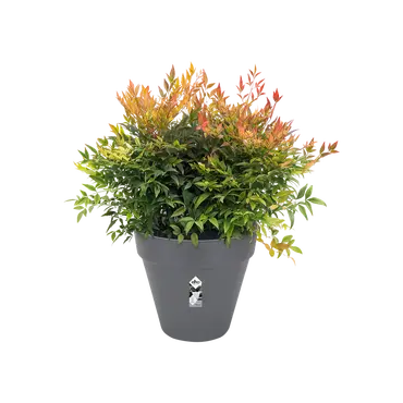 Pot loft urban rond d70cm antra sfeer, Elho, tuincentrumoutlet