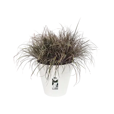 Pot loft urban rond d70cm wit sfeer, Elho, tuincenturmoutlet