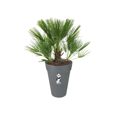 Pot loft urban rond hoog d35cm antraciet sfeer, Elho, tuincentrumoutlet