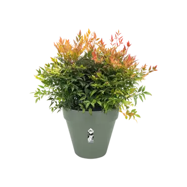 loft urban rond wielen 40cm pistachegroen potplant, Elho, tuincentrumoutlet