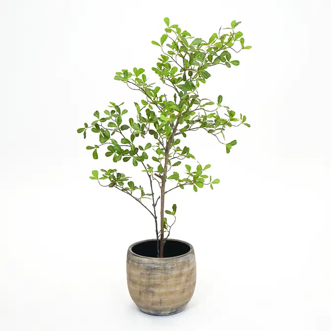 Pot miami d39h36cm brons, HS Potterie, tuincentrumoutlet.com