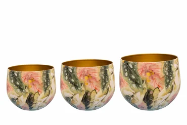 Pot monstera mystery d17h14cm set, Ter Steege, tuincentrumoutlet.com