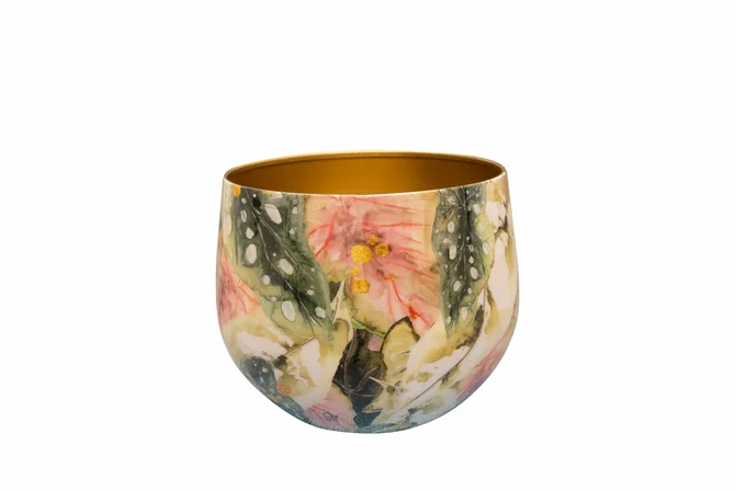 Pot monstera mystery d21h17cm, Ter Steege, tuincentrumoutlet.com