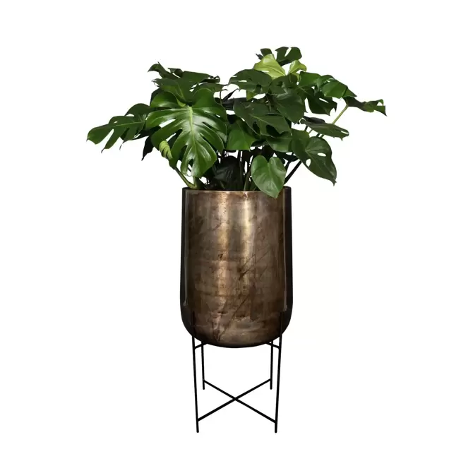 Pot op voet kya d50h100cm darkroast, Ter Steege, www.tuincentrumoutlet.com