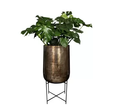 Pot op voet kya d50h100cm darkroast, Ter Steege, www.tuincentrumoutlet.com