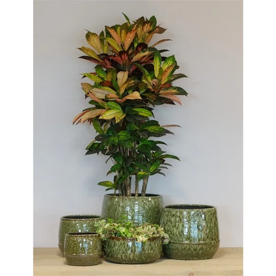 Pot optim groen serie, Floran, tuincentrumoutlet.com