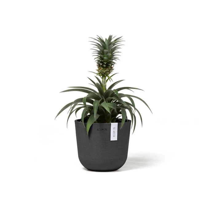 Pot oslo d16h13.7cm donkergrijs sfeer, Ecopots, tuincentrumoutlet.com