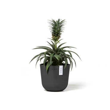 Pot oslo d16h13.7cm donkergrijs sfeer, Ecopots, tuincentrumoutlet.com