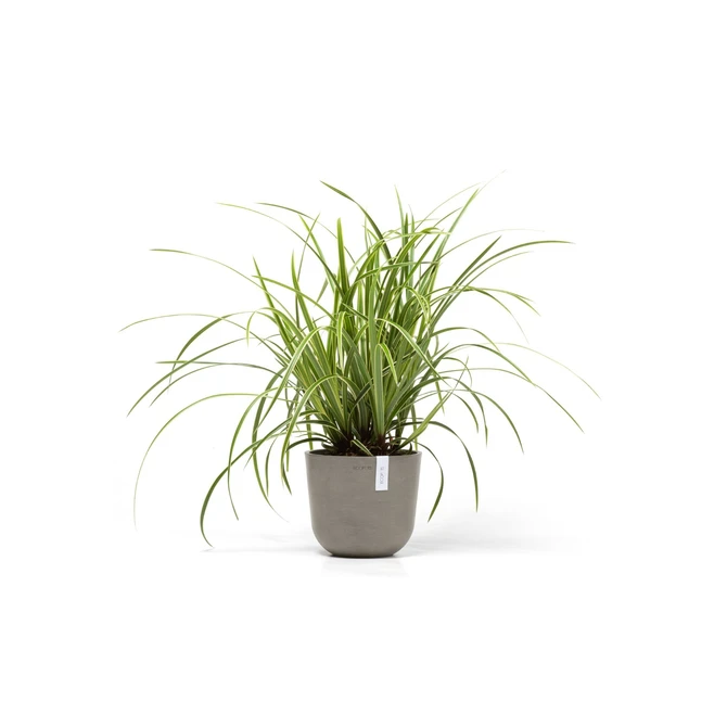 Pot oslo d19h16.5cm taupe sfeer, Ecopots, tuincentrumoutlet.com