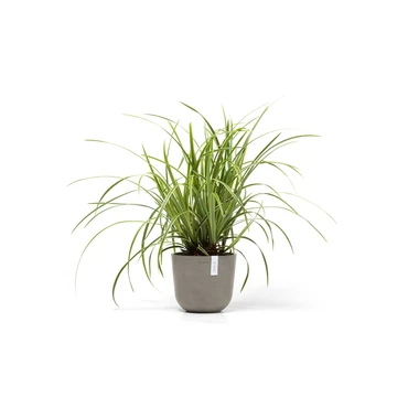 Pot oslo d19h16.5cm taupe sfeer, Ecopots, tuincentrumoutlet.com