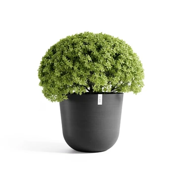 Pot oslo d65cm donkergrijs met plant, Ecopots, tuincentrumoutlet.com