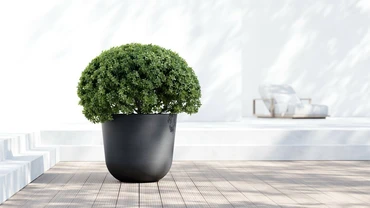Pot oslo d65cm donkergrijs sfeerfoto, Ecopots, tuincentrumoutlet.com