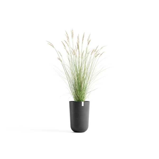 Pot oslo high d52cm donkergrijs met plant, Ecopots, tuincentrumoutlet.com