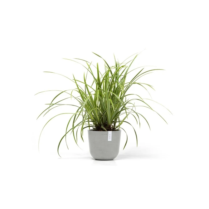 Pot oslo mini d19cm wit grijs, Ecopots, Tuincentrumoutlet