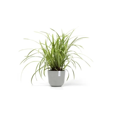 Pot oslo mini d19cm wit grijs, Ecopots, Tuincentrumoutlet
