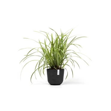 Pot oslo mini donkergrijs d19cm, Ecopots, Tuincentrumoutlet