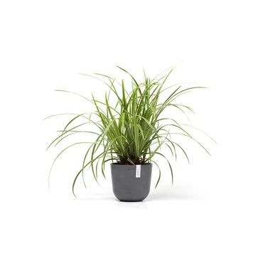 Pot oslo mini grijs d19cm, Ecopots, Tuincentrumoutlet