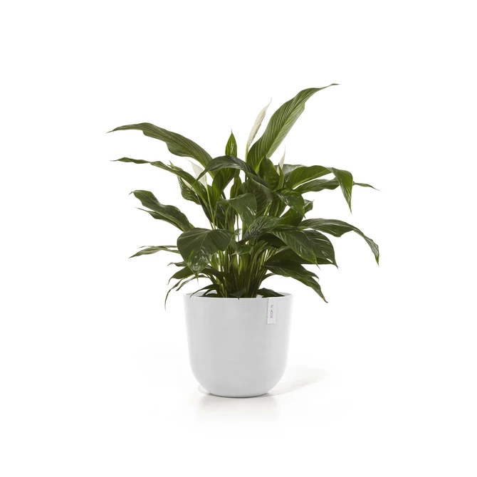 Pot oslo puur wit d45cm sfeer, Ecopots, tuincentrumoutlet.com