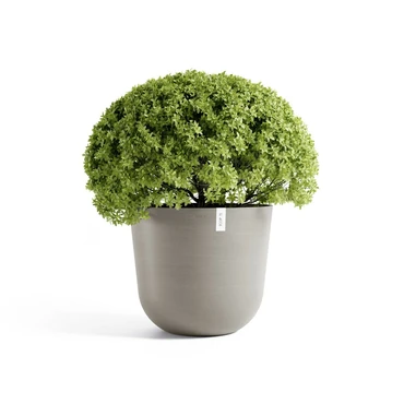 Pot oslo taupe d65cm met plant, Ecopots, tuincentrumoutlet.com