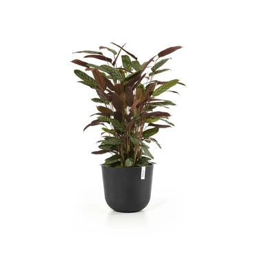 Pot oslo+waterres d35cm d. grijs, Ecopots, Tuincentrumoutlet