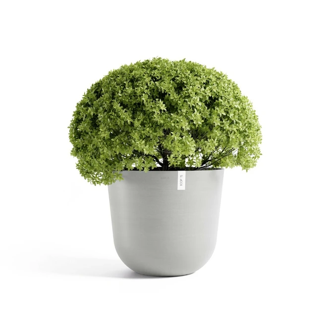 Pot oslo witgrijs d65cm met plant, Ecopots, tuincentrumoutlet.com