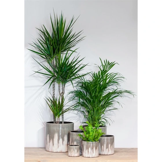 Pot porches d17h17cm taupe - afbeelding 2