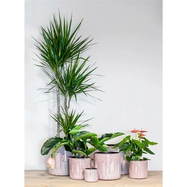 Pot porches d24h24cm roze - afbeelding 2