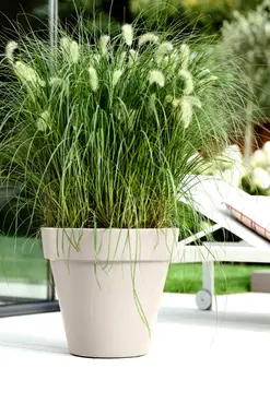 Pot pure d80cm linnen wit sfeer, Elho, tuincentrumoutlet.com