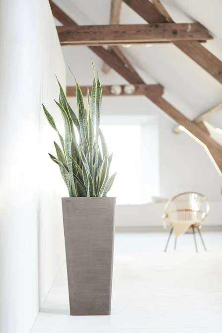 Pot rotterdam high l70cm taupe sfeerfoto, Ecopots, tuincentrumoutlet.com