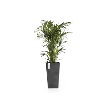 Pot rotterdam midhigh l56cm dnkrgr, Ecopots, Tuincentrumoutlet