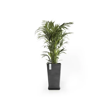 Pot rotterdam midhigh l56cm dnkrgr, Ecopots, Tuincentrumoutlet