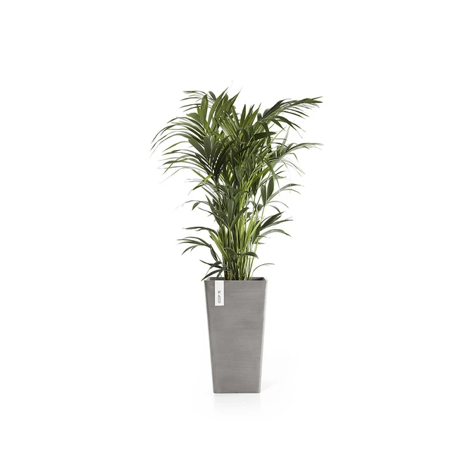 Pot rotterdam midhigh l56cm taupe met plant, Ecopots, tuincentrumoutlet.com