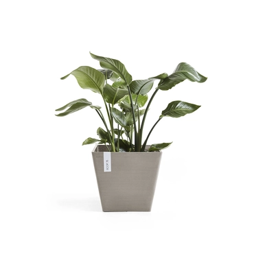 Pot rotterdam taupe l30b30h27cm sfeer, Ecopots, tuincentrumoutlet