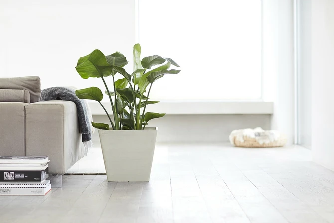 Pot rotterdam witgrijs l50b50h46cm sfeerfoto, Ecopots, tuincentrumoutlet.com