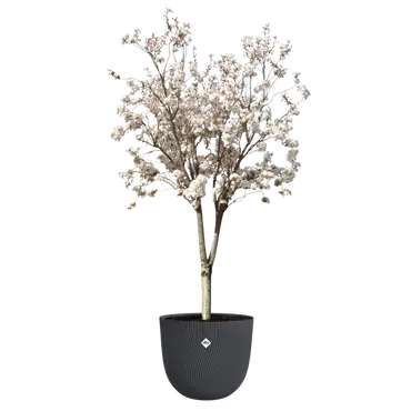 Pot sereh d60cm antraciet sfeer, Elho, tuincentrumoutlet.com