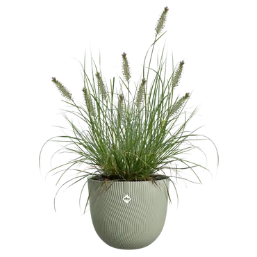 Pot sereh d60cm groen sfeer, Elho, tuincentrumoutlet.com