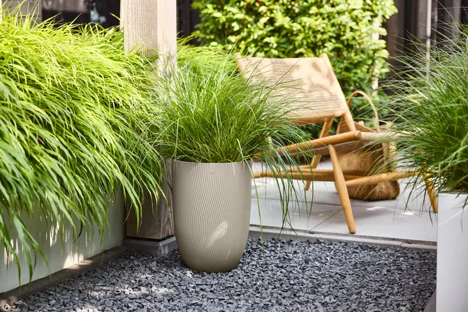 Pot sereh hg d30cm paddenstoel bg sfeerfoto, Elho, tuincentrumoutlet.com