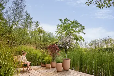 Pot sereh hg d40cm koele klei setfoto, Elho, tuincentrumoutlet.com